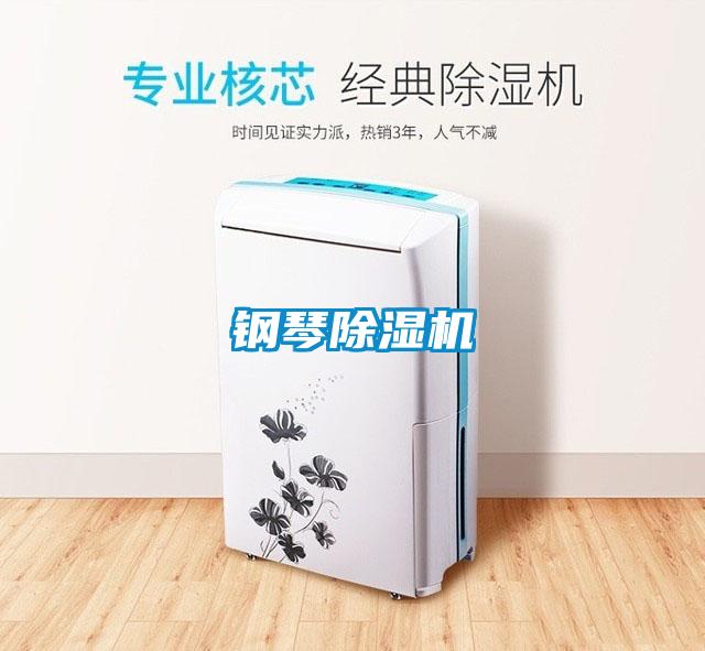 鋼琴除濕機