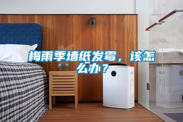 梅雨季墻紙發(fā)霉，該怎么辦？