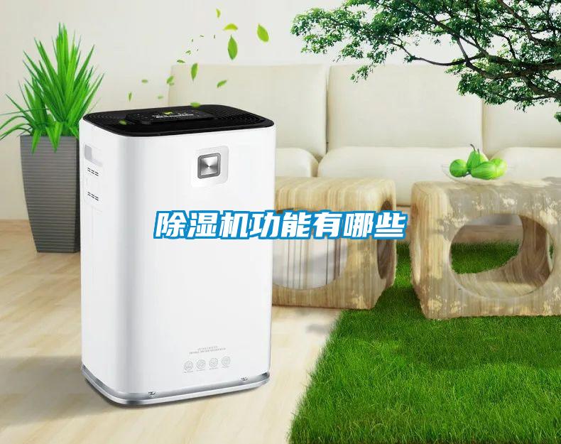 除濕機功能有哪些