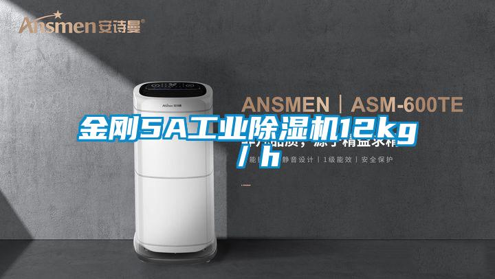 金剛5A工業(yè)除濕機12kg／h