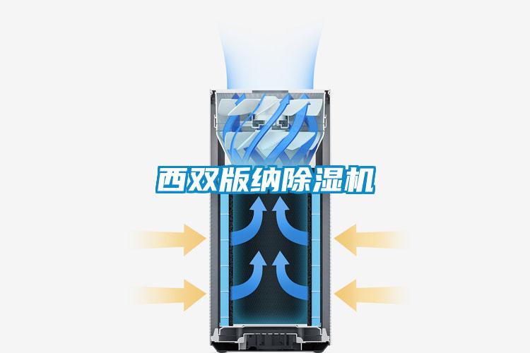 西雙版納除濕機
