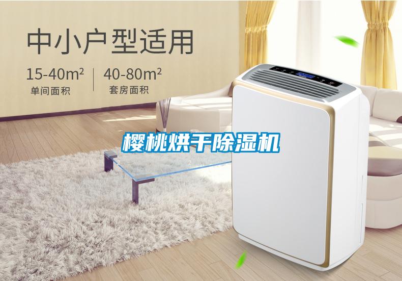 櫻桃烘干除濕機
