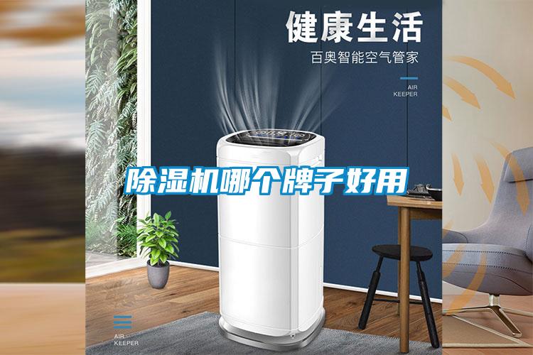 除濕機(jī)哪個牌子好用