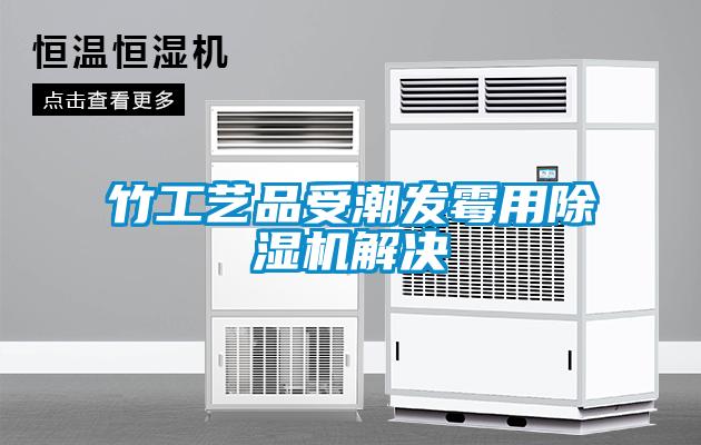 竹工藝品受潮發(fā)霉用除濕機解決