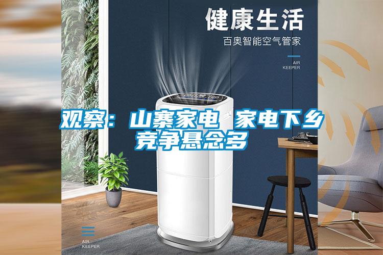 觀察：山寨家電 家電下鄉競爭懸念多