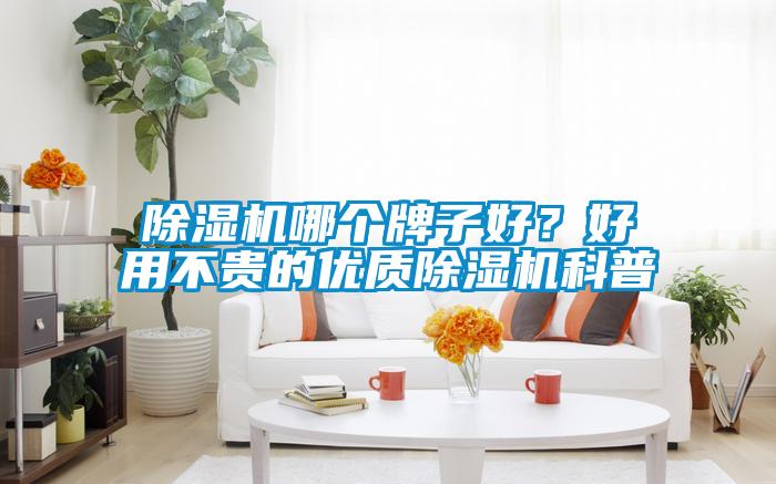 除濕機哪個牌子好？好用不貴的優(yōu)質(zhì)除濕機科普