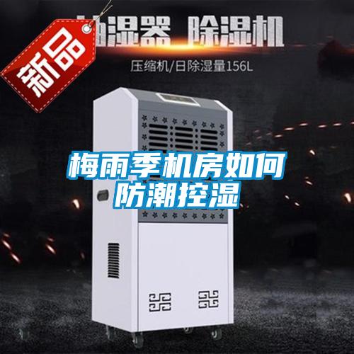 梅雨季機(jī)房如何防潮控濕