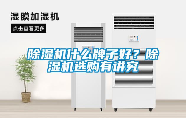 除濕機什么牌子好？除濕機選購有講究