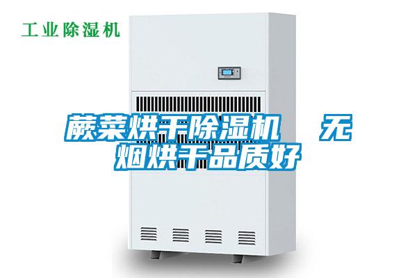 蕨菜烘干除濕機  無煙烘干品質好