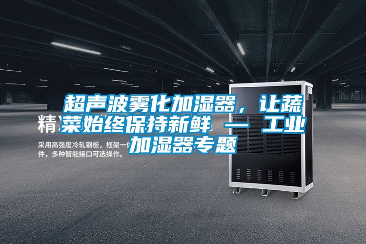 超聲波霧化加濕器，讓蔬菜始終保持新鮮 — 工業加濕器專題