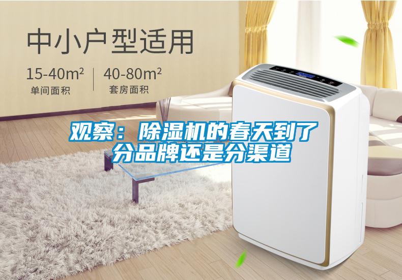 觀察：除濕機的春天到了 分品牌還是分渠道