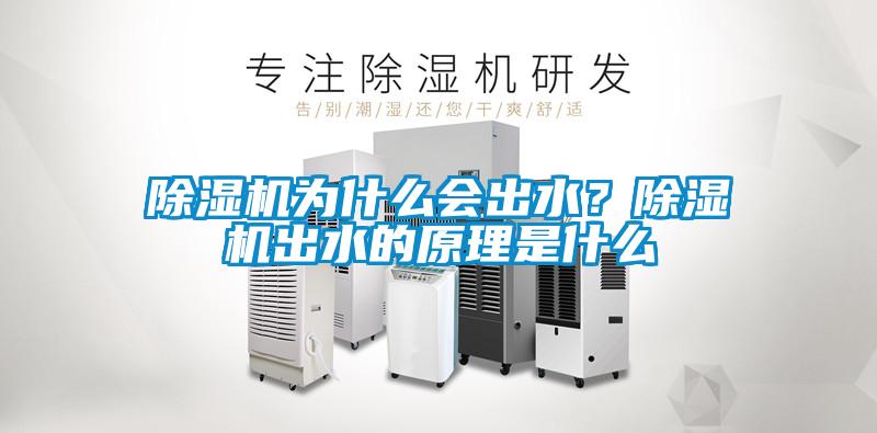 除濕機為什么會出水？除濕機出水的原理是什么