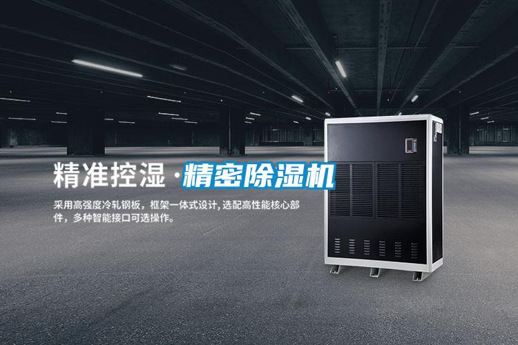 精密除濕機(jī)