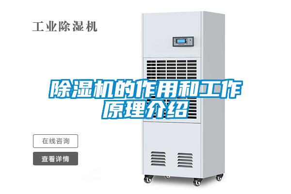 除濕機的作用和工作原理介紹