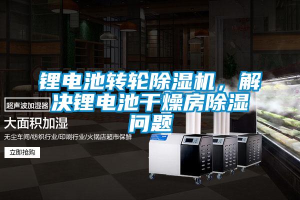 鋰電池轉輪除濕機，解決鋰電池干燥房除濕問題