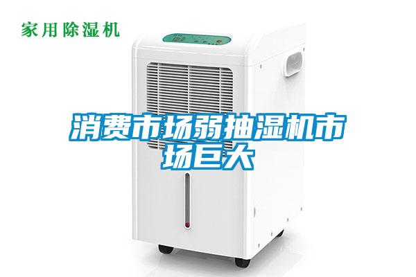 消費(fèi)市場(chǎng)弱抽濕機(jī)市場(chǎng)巨大