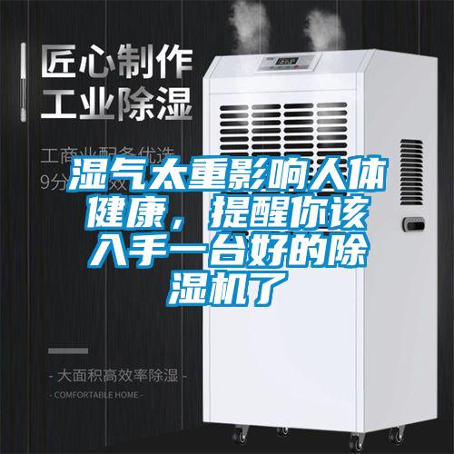 濕氣太重影響人體健康，提醒你該入手一臺好的除濕機了
