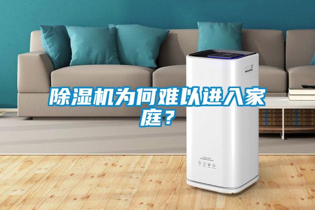 除濕機為何難以進入家庭？