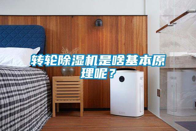 轉(zhuǎn)輪除濕機是啥基本原理呢？
