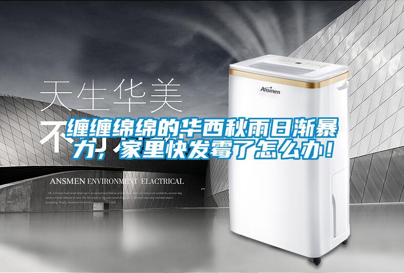 纏纏綿綿的華西秋雨日漸暴力，家里快發霉了怎么辦！