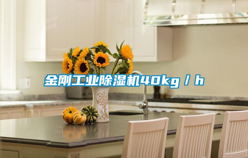 金剛工業除濕機40kg／h
