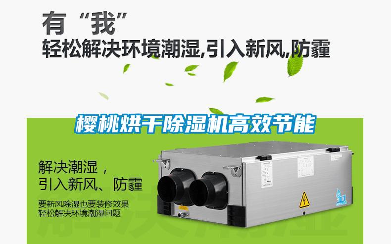 櫻桃烘干除濕機(jī)高效節(jié)能