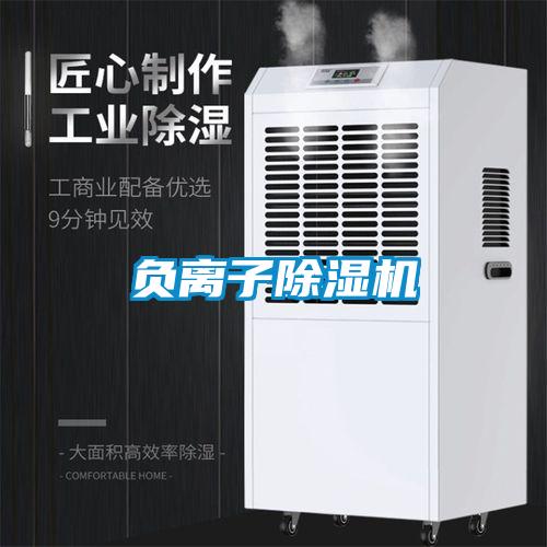負(fù)離子除濕機