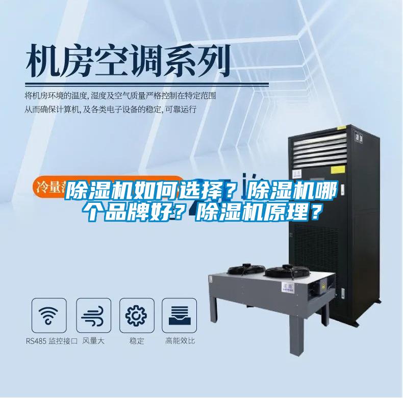 除濕機如何選擇？除濕機哪個品牌好？除濕機原理？
