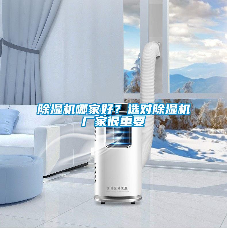 除濕機哪家好？選對除濕機廠家很重要