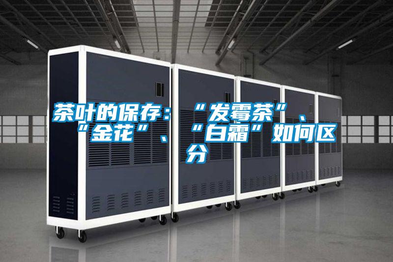 茶葉的保存：“發霉茶”、“金花”、“白霜”如何區分