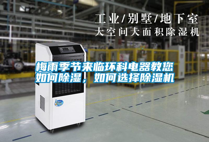 梅雨季節來臨環科電器教您如何除濕，如何選擇除濕機