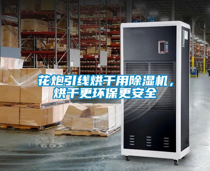 花炮引線烘干用除濕機，烘干更環保更安全