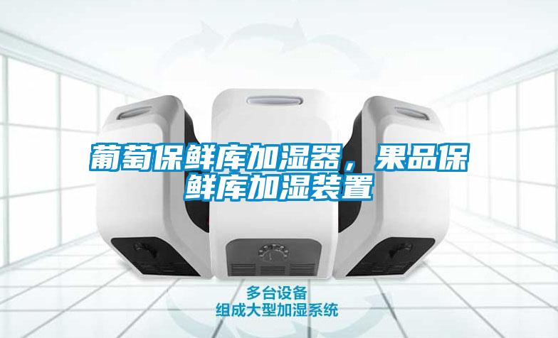 葡萄保鮮庫加濕器，果品保鮮庫加濕裝置