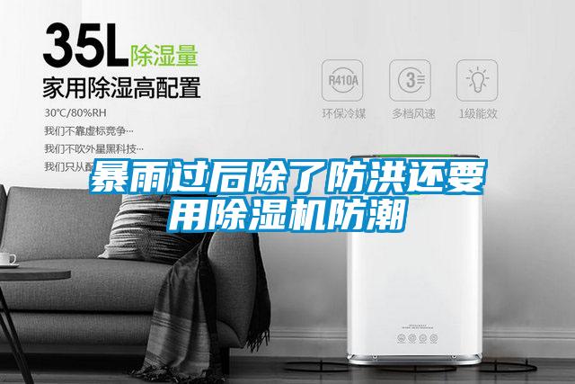 暴雨過后除了防洪還要用除濕機防潮
