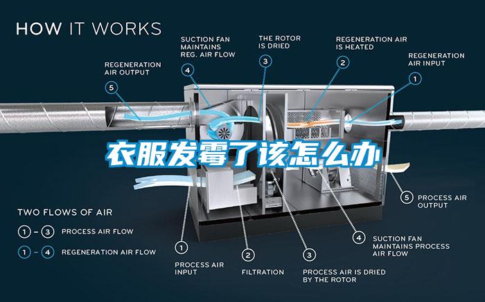 衣服發霉了該怎么辦