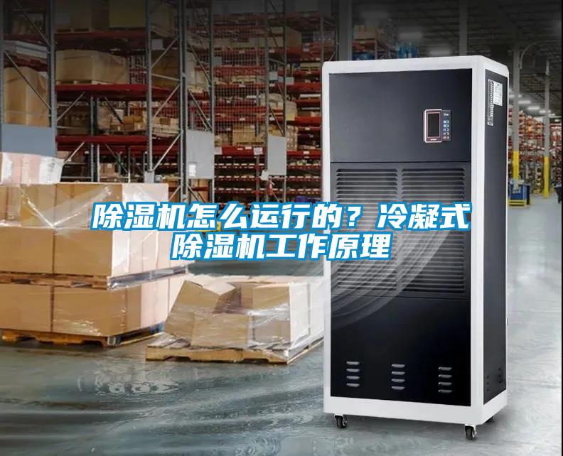 除濕機怎么運行的？冷凝式除濕機工作原理