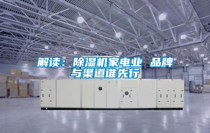 解讀：除濕機家電業 品牌與渠道誰先行