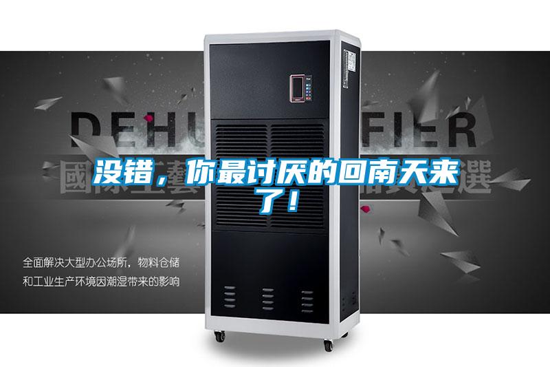 沒錯，你最討厭的回南天來了！