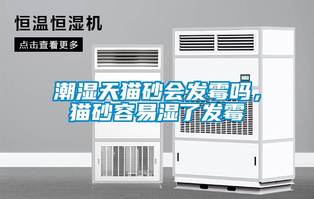 潮濕天貓砂會發霉嗎，貓砂容易濕了發霉