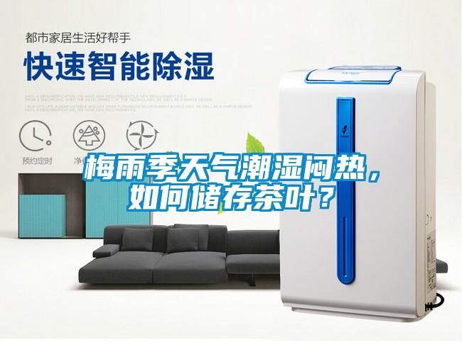 梅雨季天氣潮濕悶熱，如何儲存茶葉？
