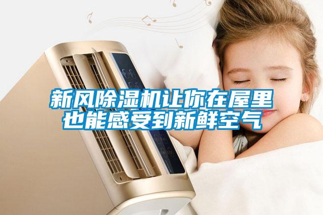 新風除濕機讓你在屋里也能感受到新鮮空氣
