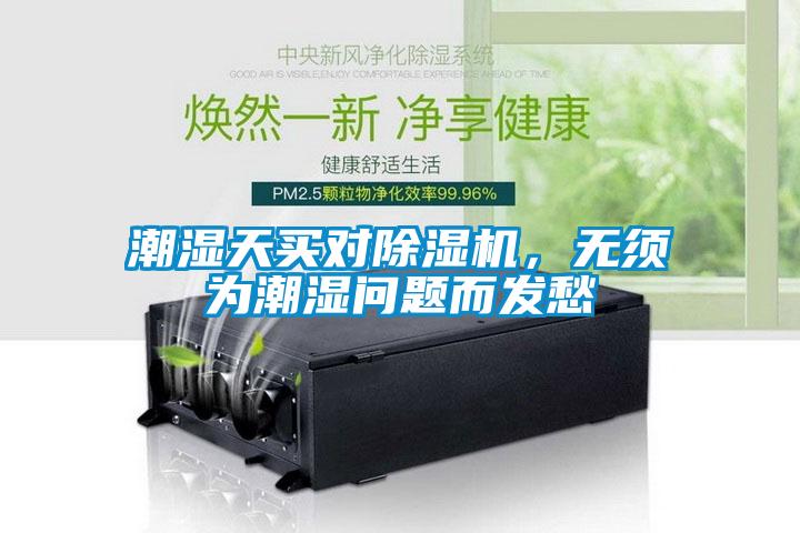 潮濕天買對除濕機，無須為潮濕問題而發愁
