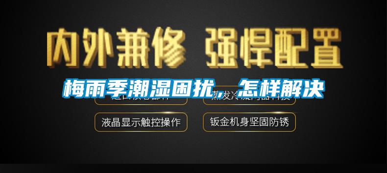 梅雨季潮濕困擾，怎樣解決