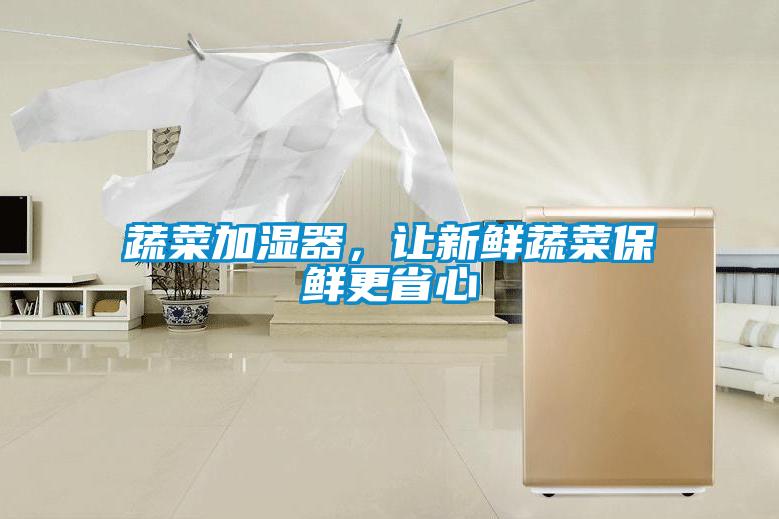 蔬菜加濕器，讓新鮮蔬菜保鮮更省心