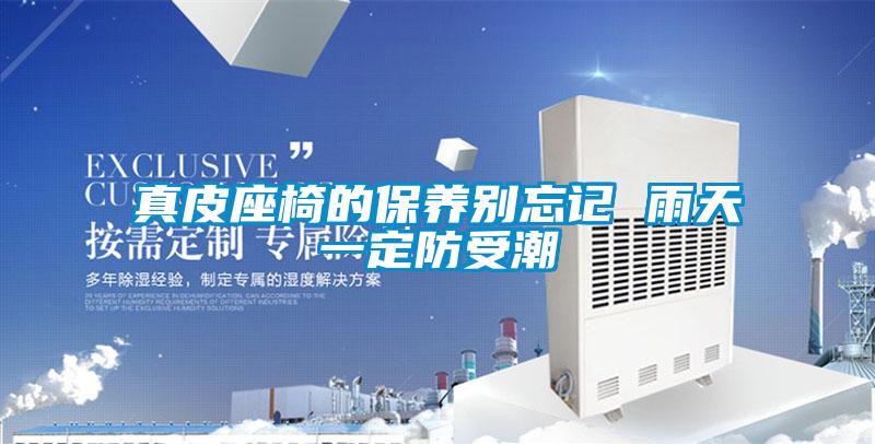 真皮座椅的保養別忘記 雨天一定防受潮