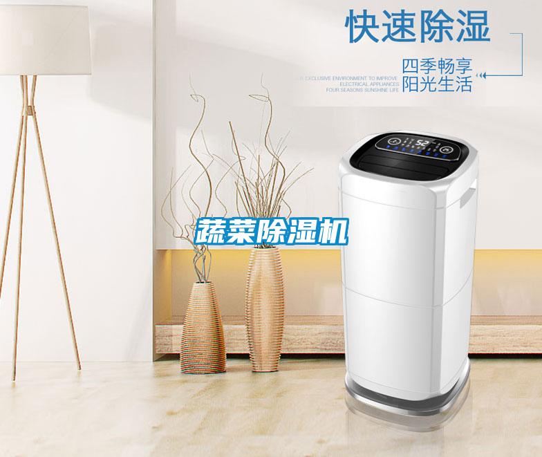 蔬菜除濕機