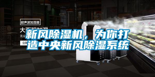 新風除濕機，為你打造中央新風除濕系統