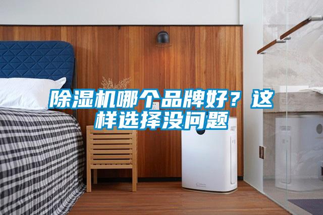 除濕機哪個品牌好？這樣選擇沒問題