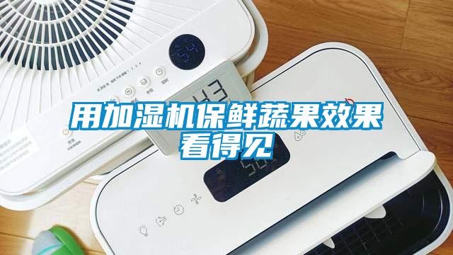 用加濕機保鮮蔬果效果看得見