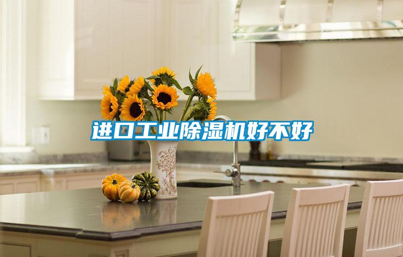 進口工業除濕機好不好